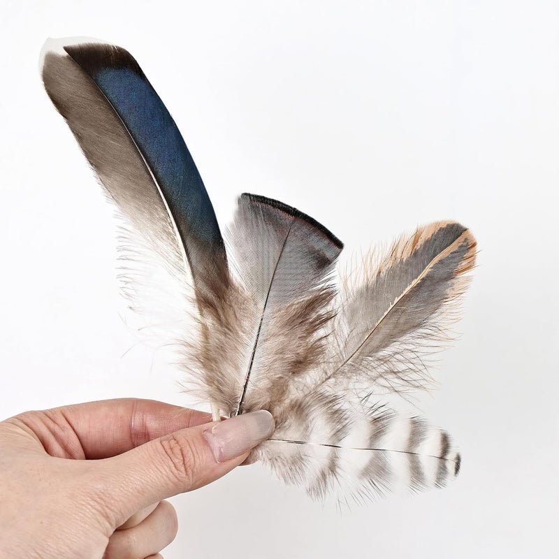 MAOFENG 120pcs 7 Styles Natural Bulk Feathers Assorted Mixed Feathers for DIY Crafts Dream Catcher Wedding Hair Hats Decoration,Guinea Fowl Feathers - Image 3